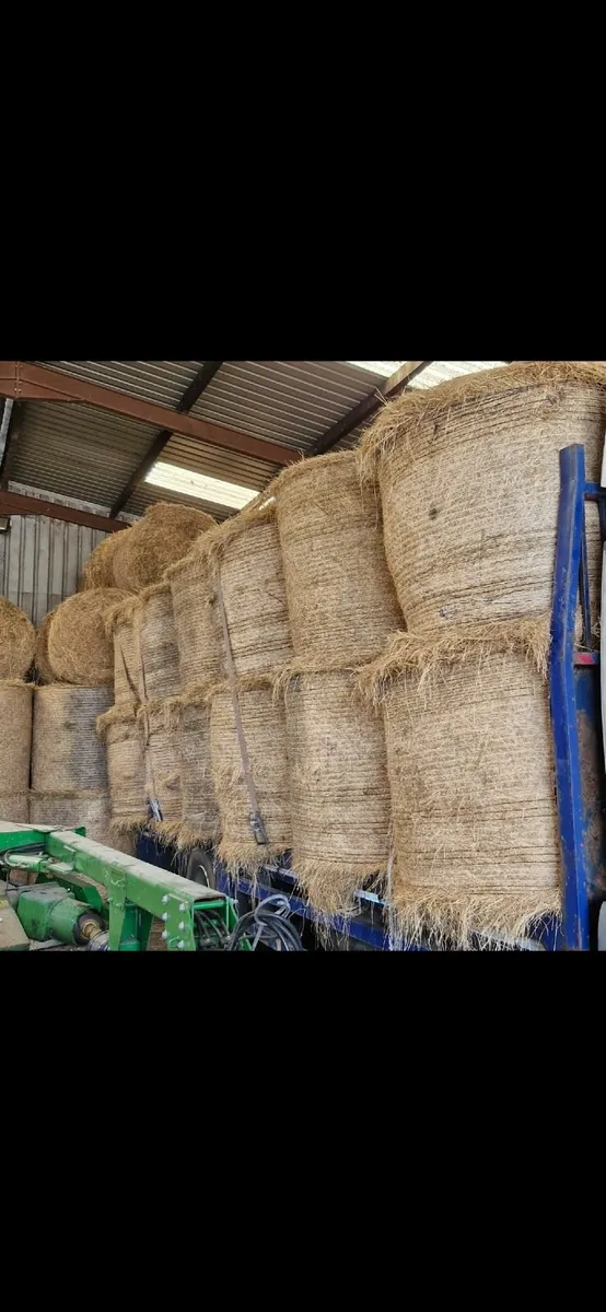 Hay - Image 2