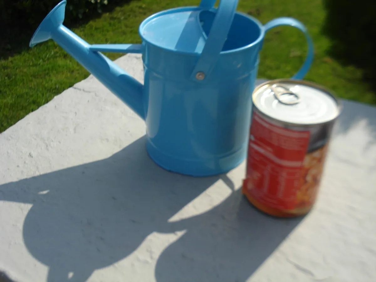 GARDEN FUN METAL BUCKET, WATER CAN & FROG SIGN. - Image 2
