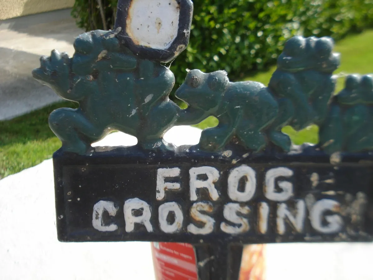 GARDEN FUN METAL BUCKET, WATER CAN & FROG SIGN. - Image 4