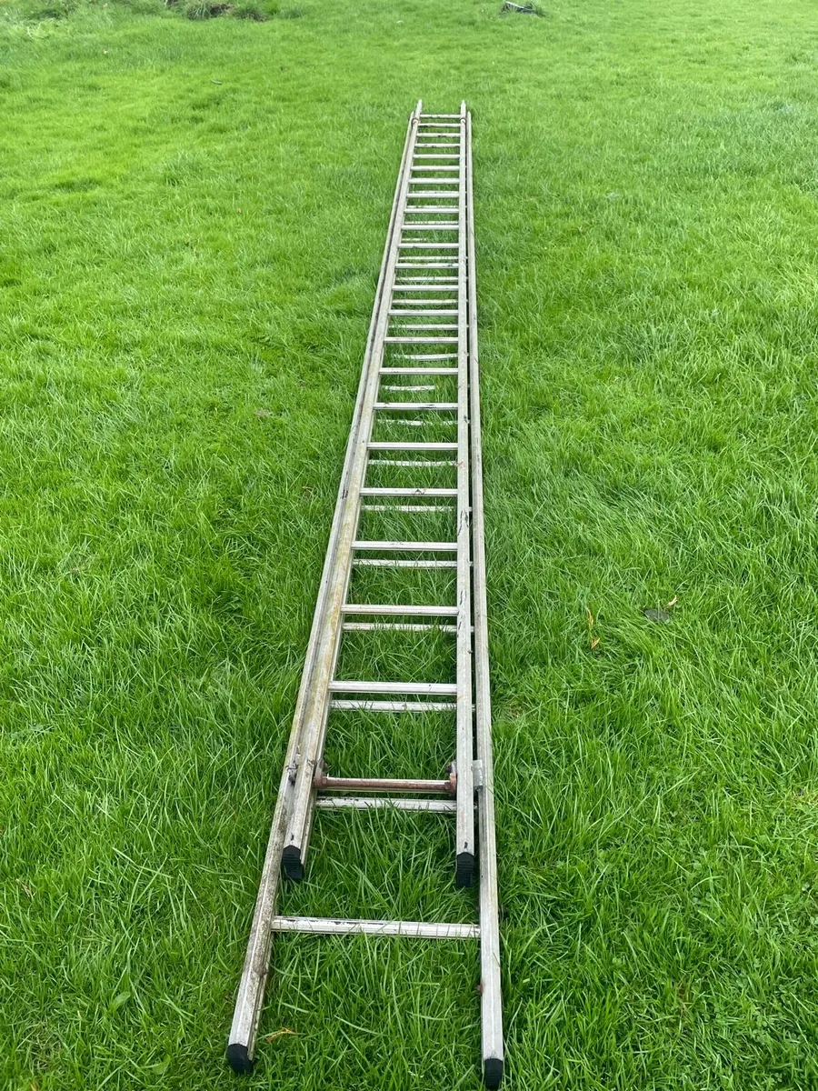 40 foot 2 piece ladder - Image 1