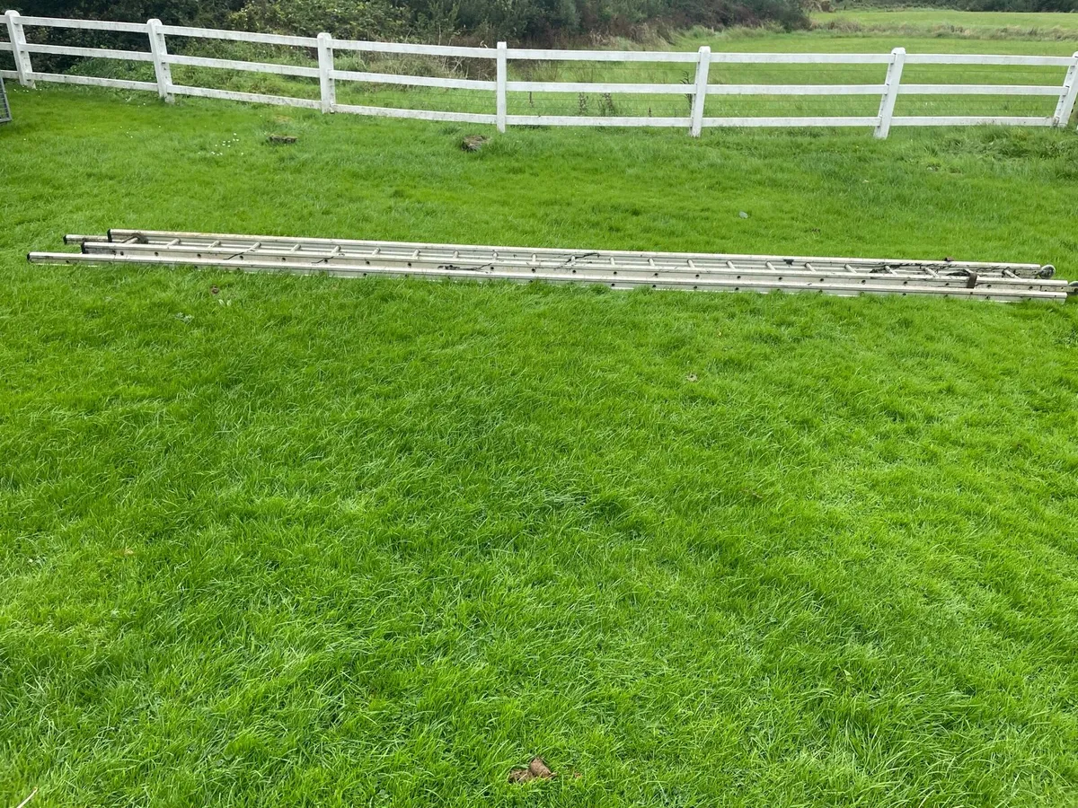 40 foot 2 piece ladder - Image 2
