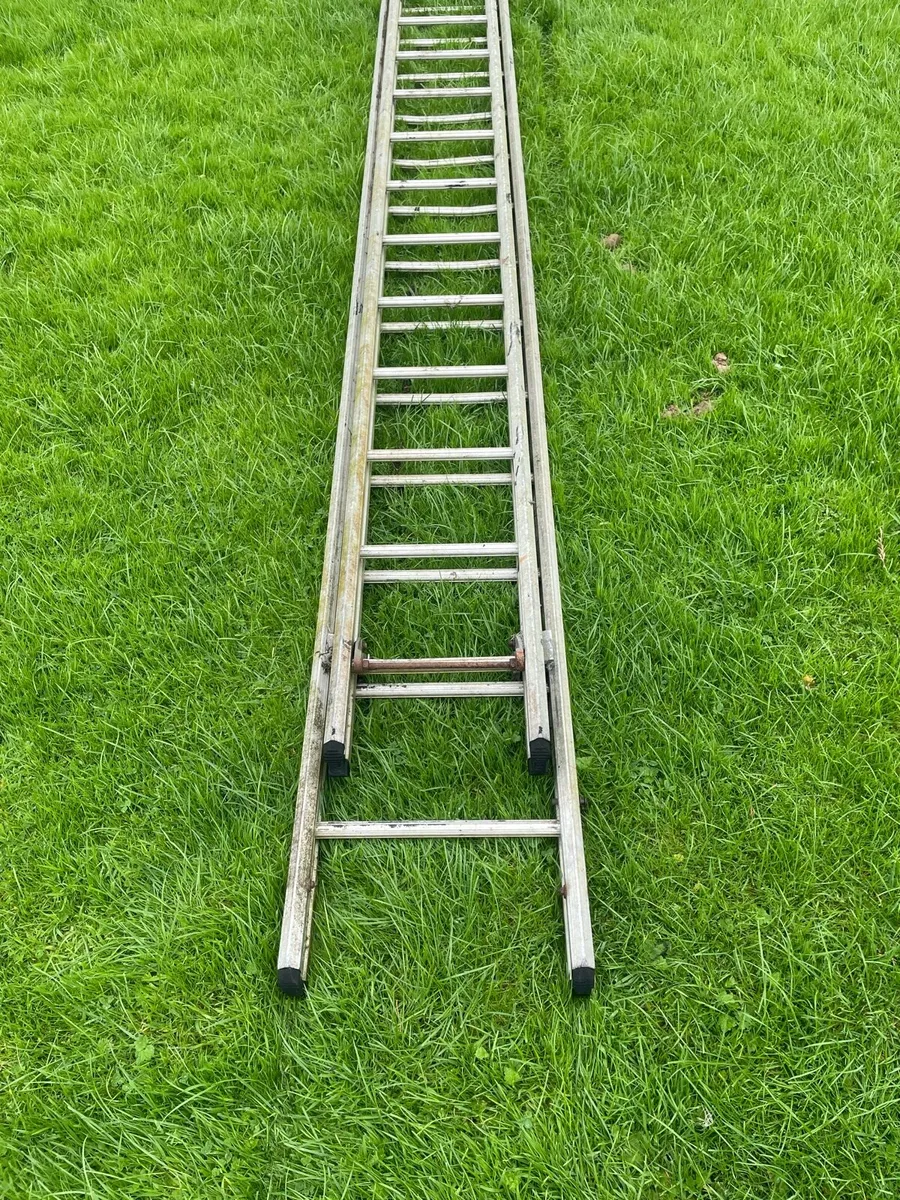 40 foot 2 piece ladder - Image 3