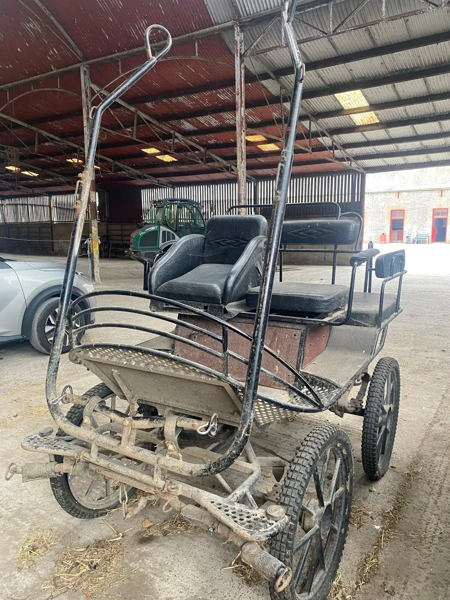 Four wheel carriage and pair zilco harness - Image 3