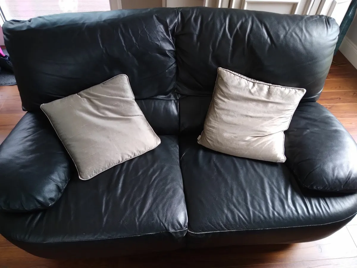 Two seater leather couch