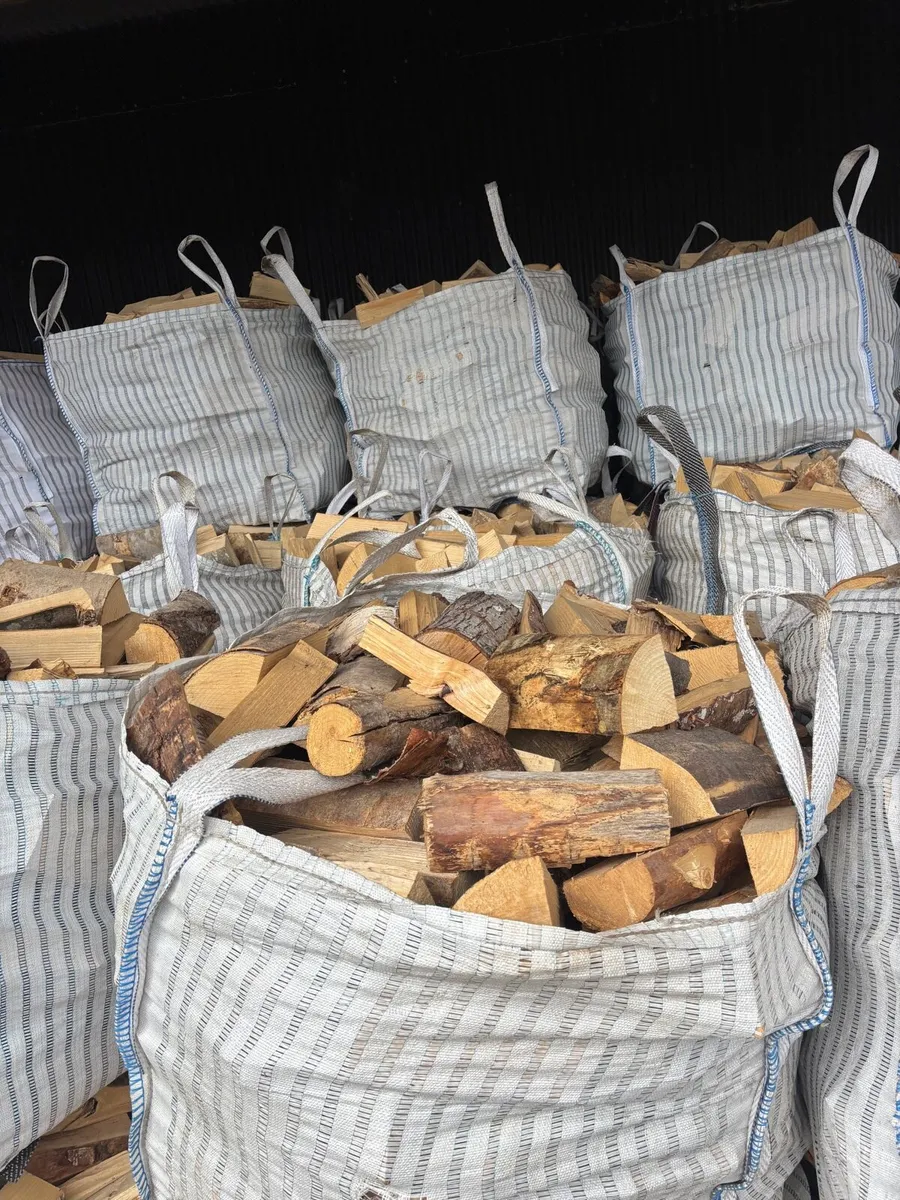 Hardwood and softwood timber - Image 2