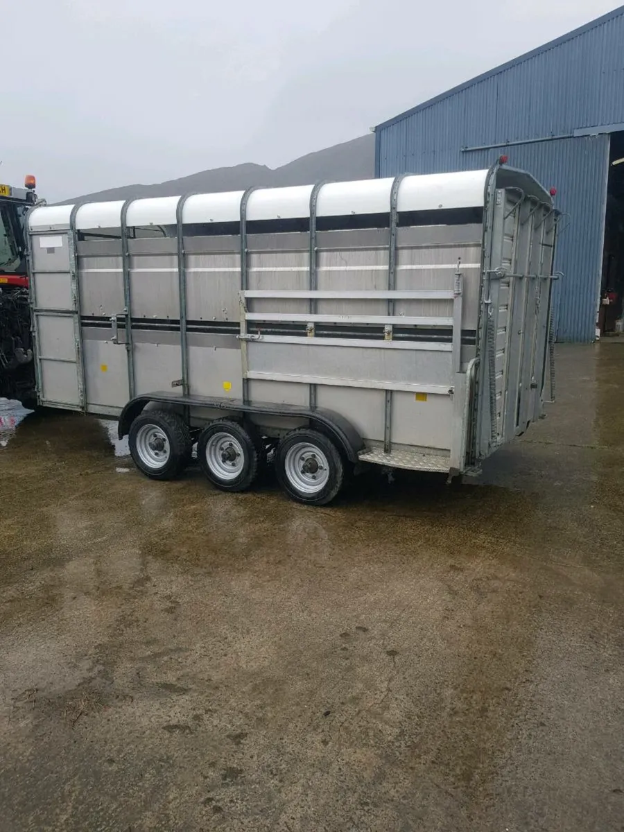 14ft tri axle sheep trailer with decks - Image 1