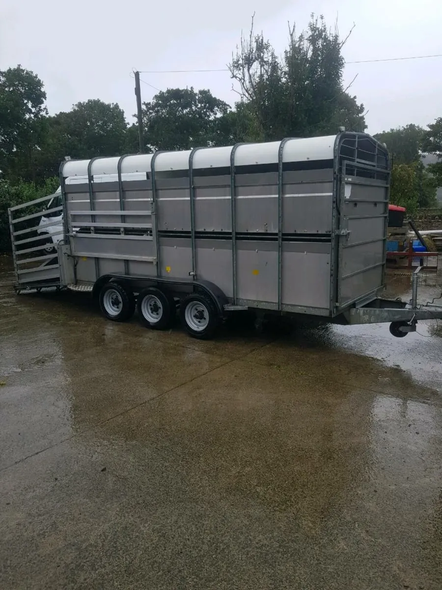 14ft tri axle sheep trailer with decks - Image 2