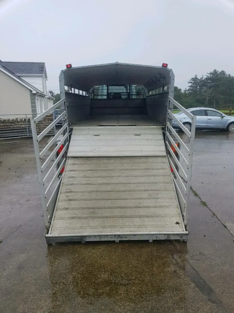 14ft tri axle sheep trailer with decks - Image 4