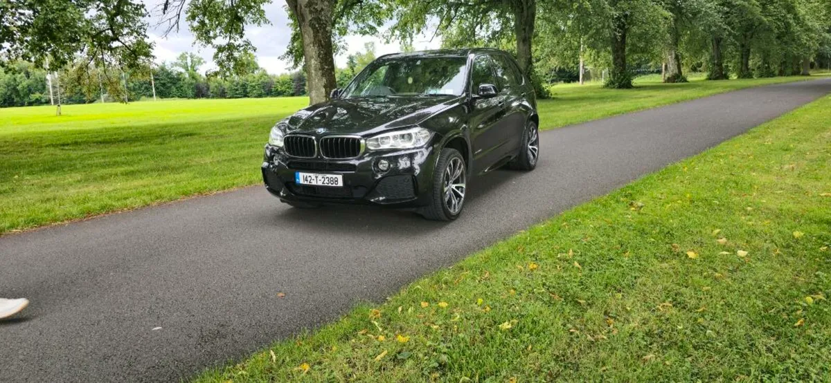 Bmw X5 30d M Sport - Image 2