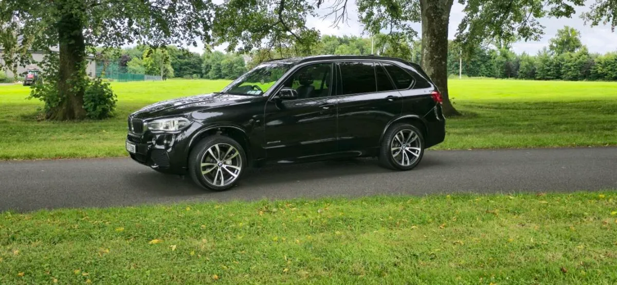 Bmw X5 30d M Sport - Image 3