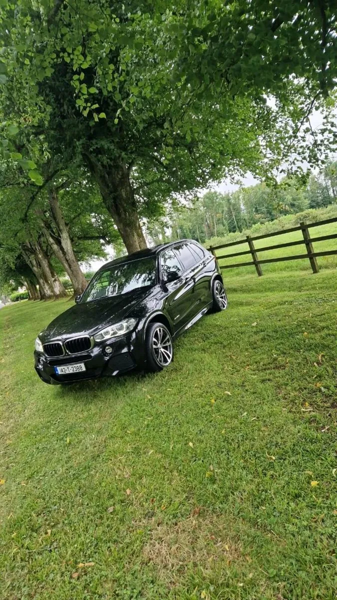 Bmw X5 30d M Sport - Image 1