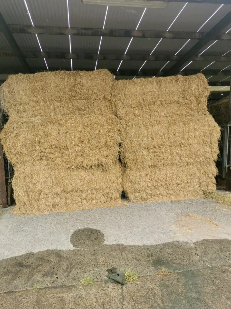 Hay and silage for sale - Image 1
