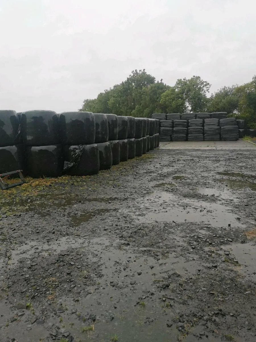 Hay and silage for sale - Image 2