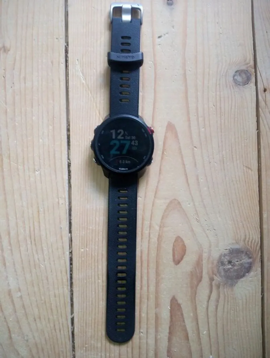 Garmin Forerunner 245 Music & Edge 25 - Image 1