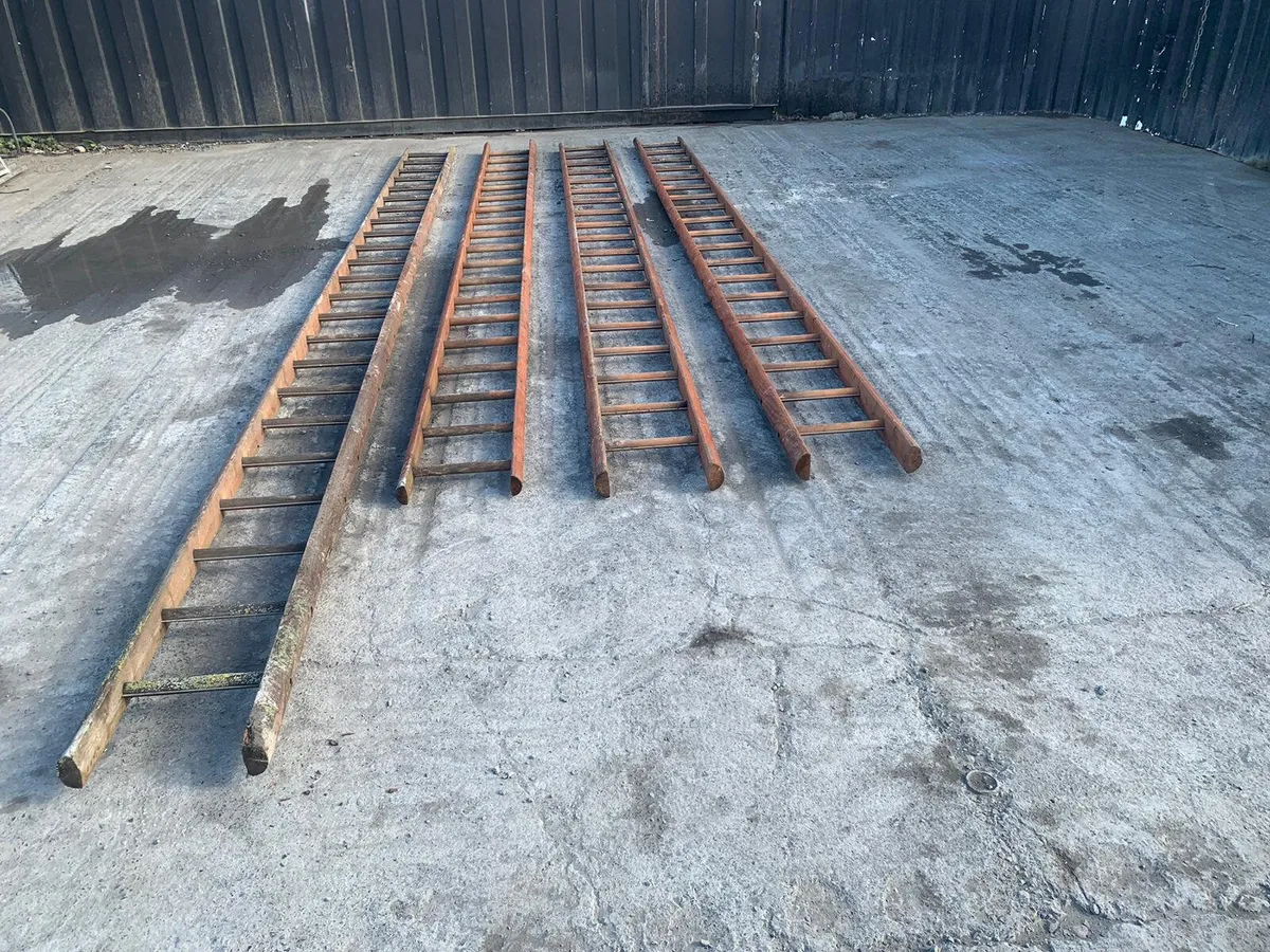 Selection of heavy-duty ladders - Image 1