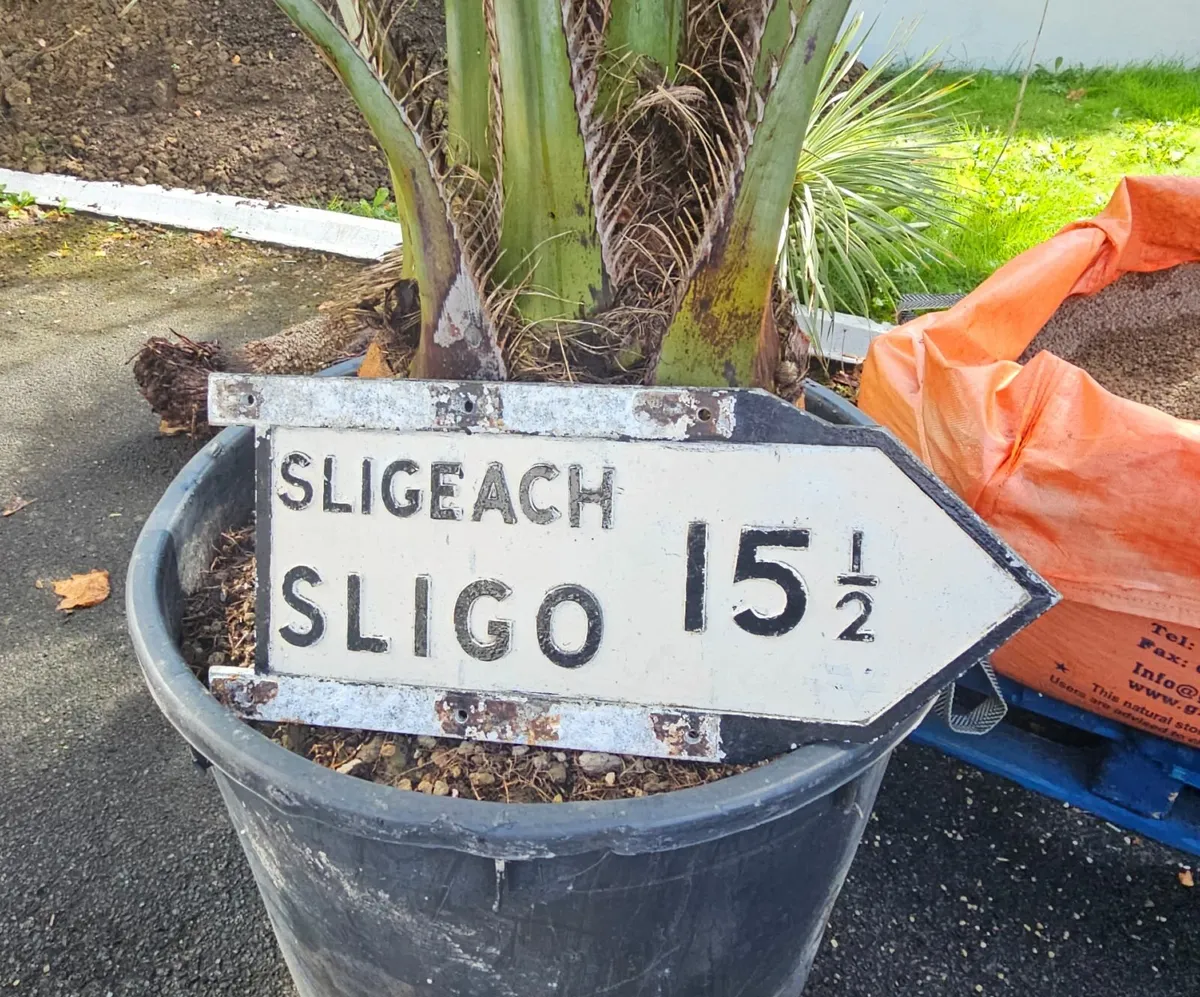 Original old Irish Street Sign Sligo - Image 2