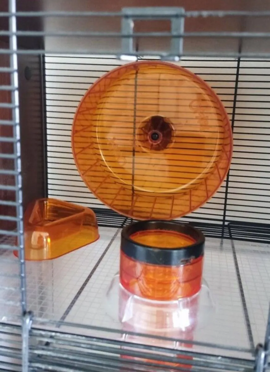 Pet Supplies - Image 2