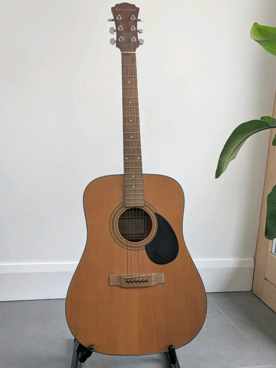 Freshman acoustic guitar
