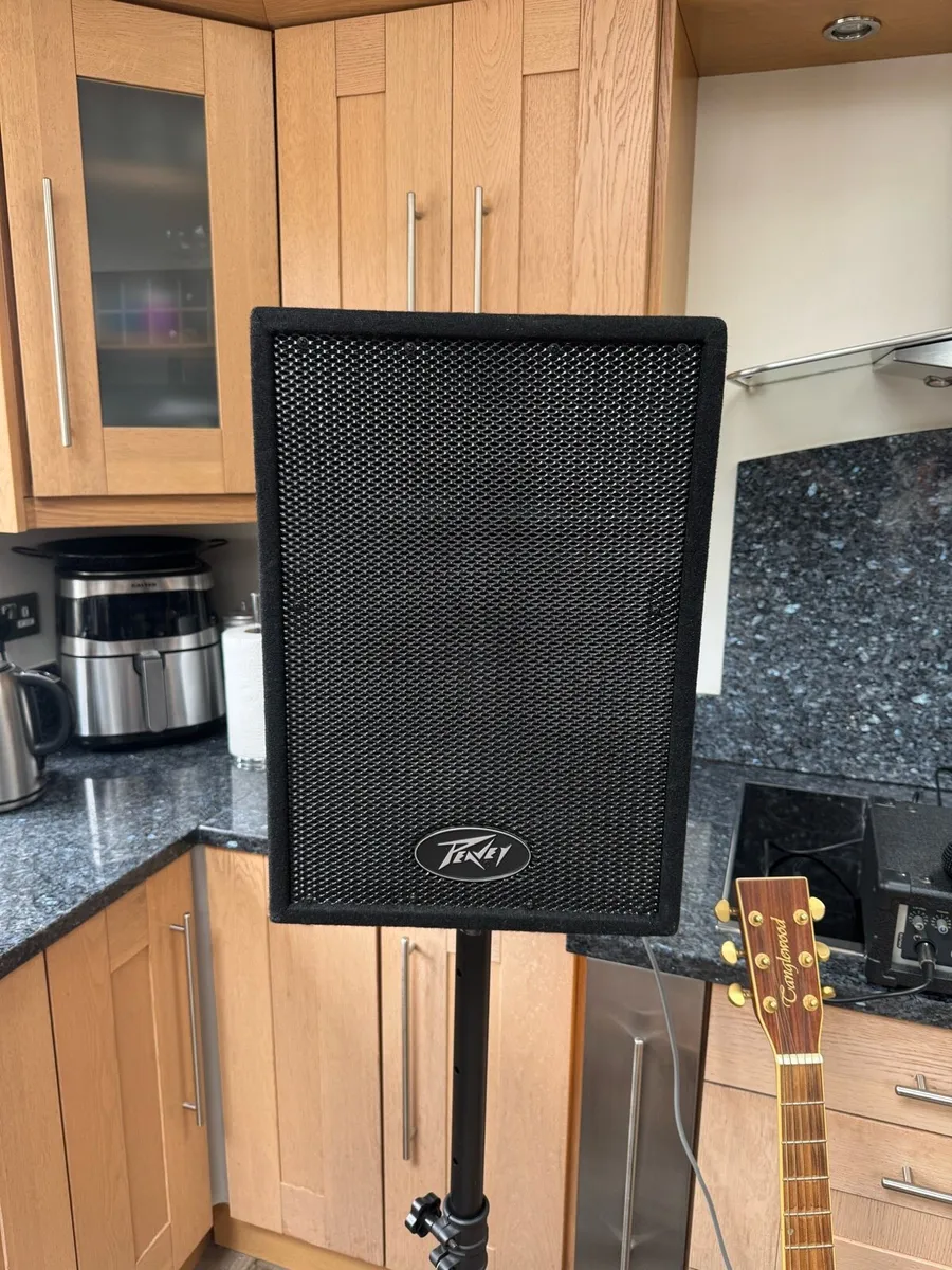 Peavey sound system with Canglewood Guitar - Image 2