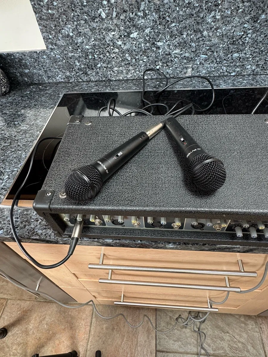 Peavey sound system with Canglewood Guitar - Image 4