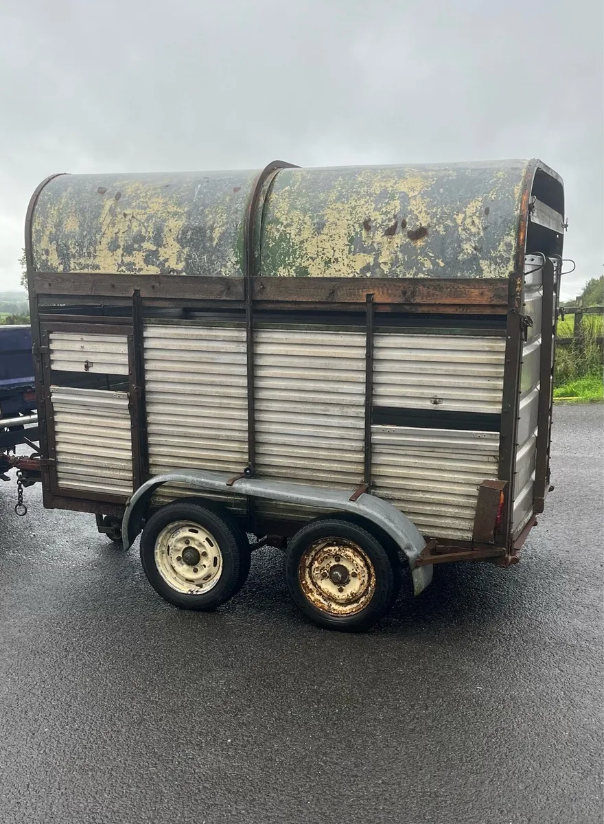 Cattle trailer - Image 3