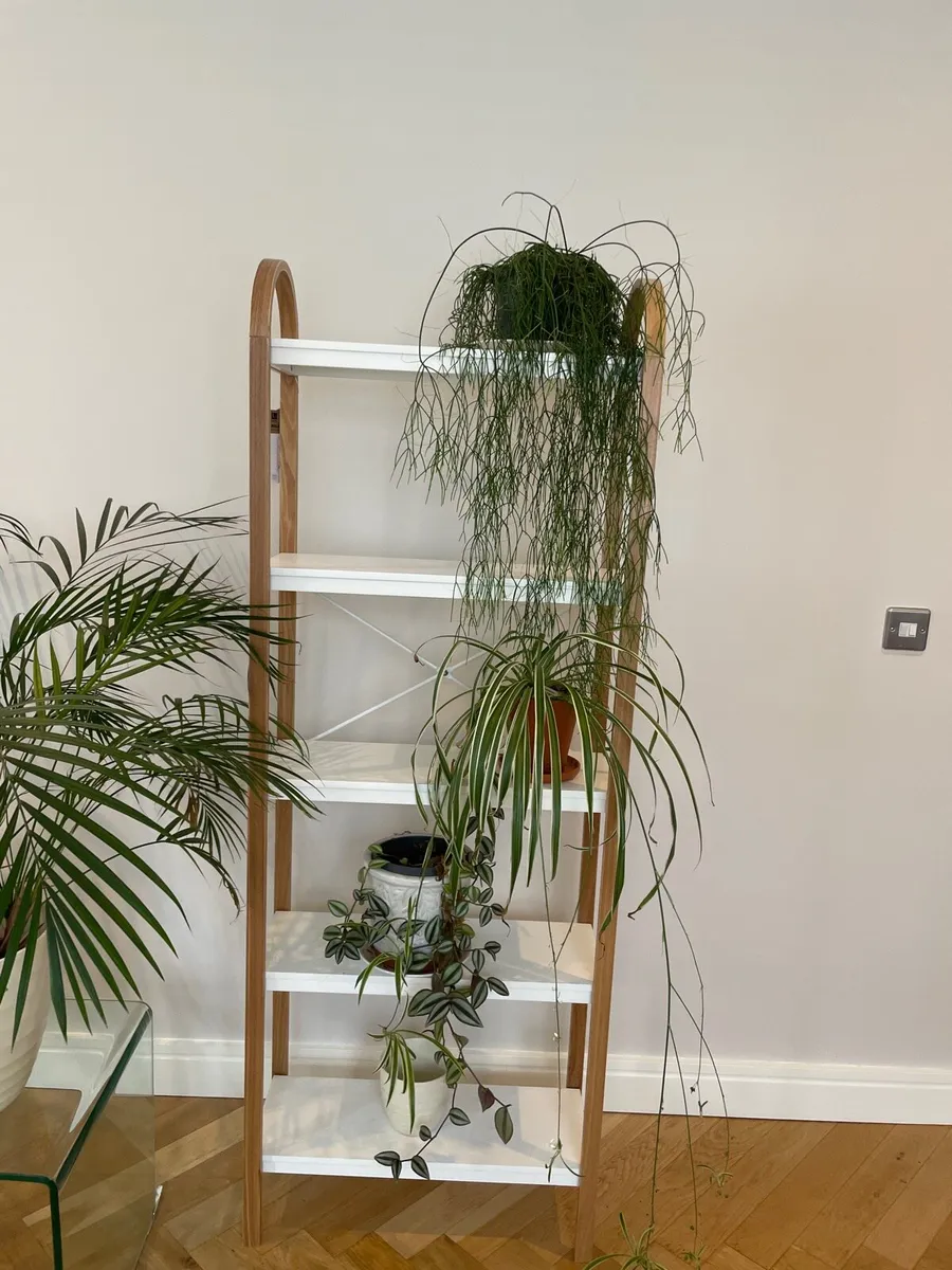 Book shelf - Image 1