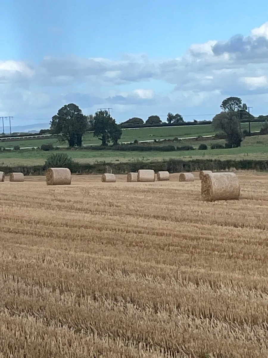 Round bales of oaten and rye straw for sale