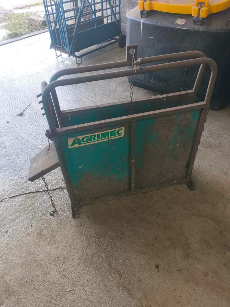 Calf dehorning crate - Image 1