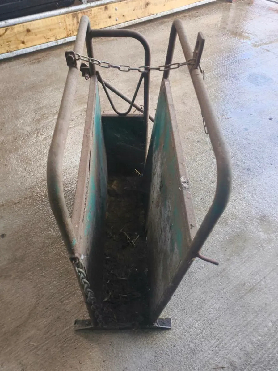 Calf dehorning crate - Image 4