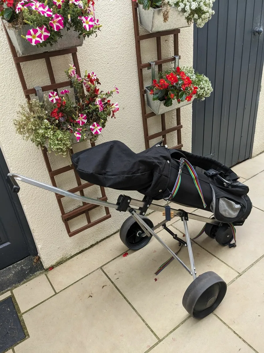 Complete Wilson Set,Irons,Wood,Bag&Trolley - Image 2