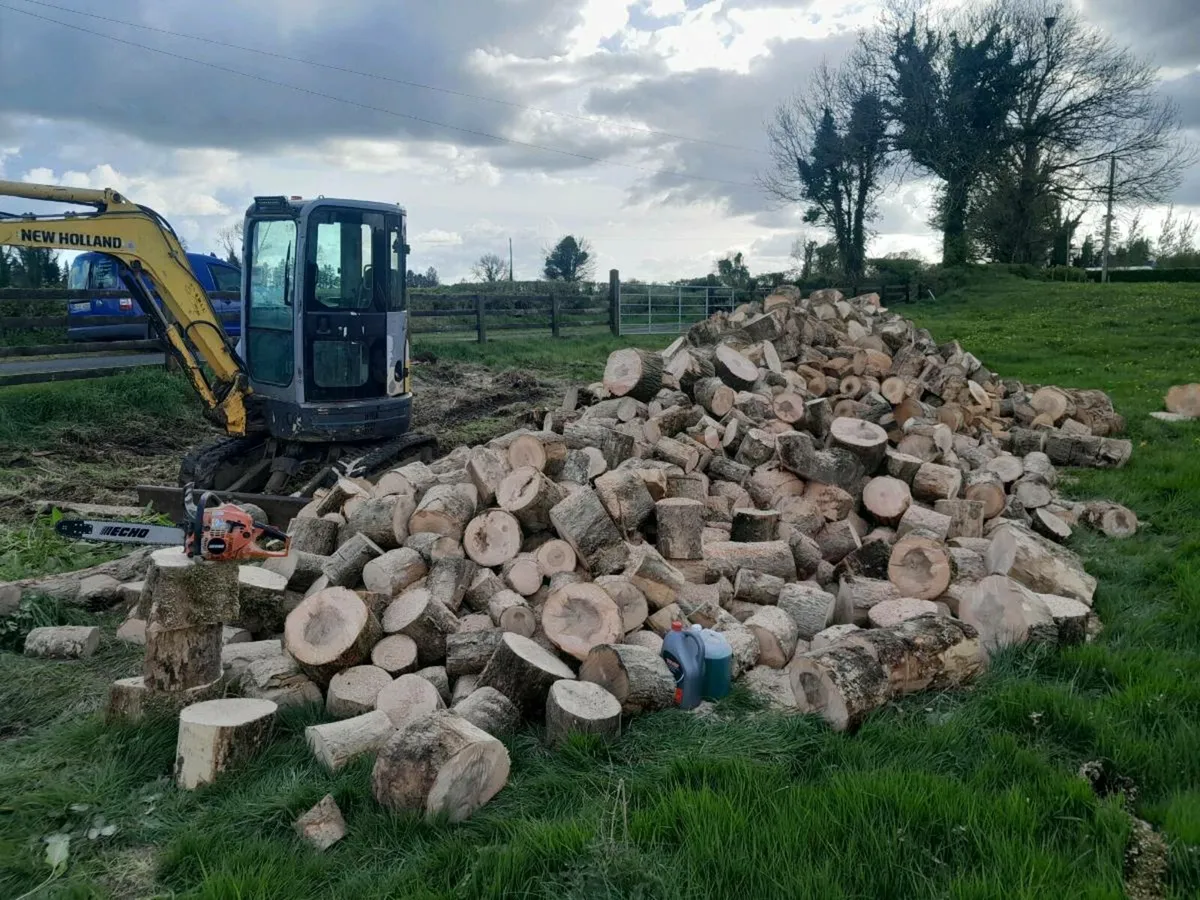 Seasoned firewood - Image 2