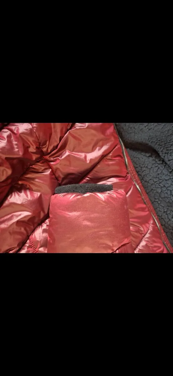 Coat - Image 2