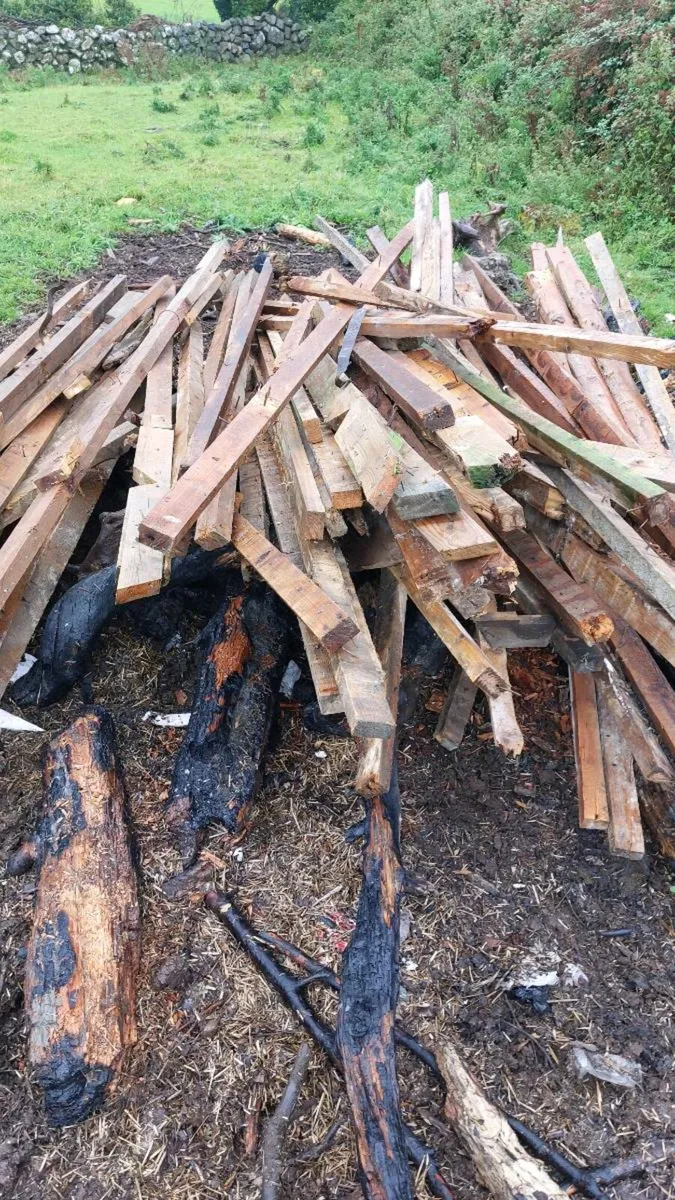 Fire wood - Image 2
