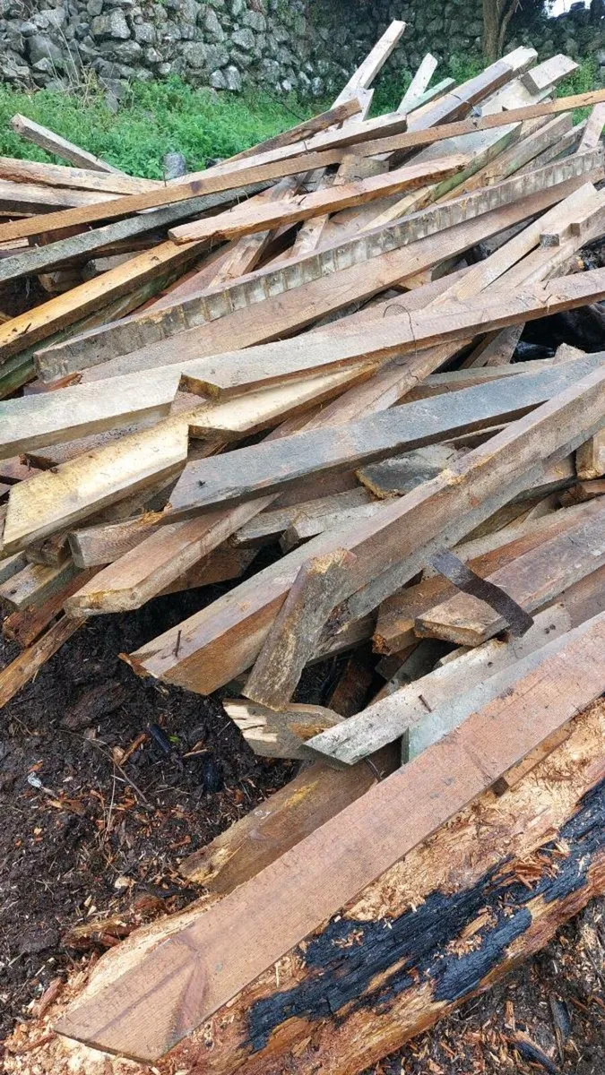 Fire wood - Image 3