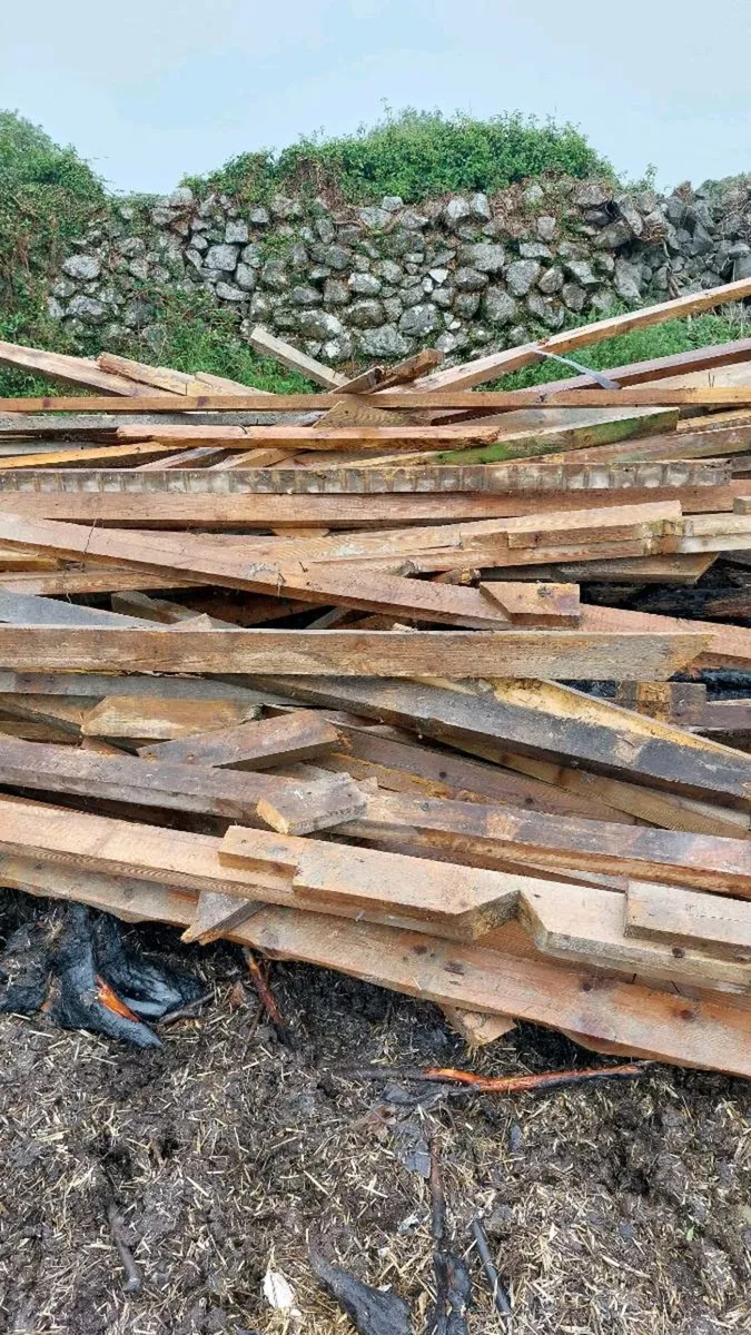 Fire wood - Image 1