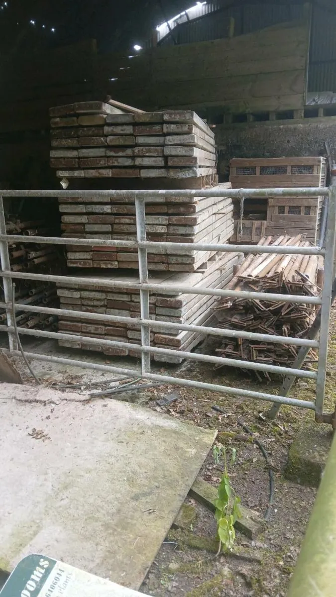 House scaffolding - Image 2
