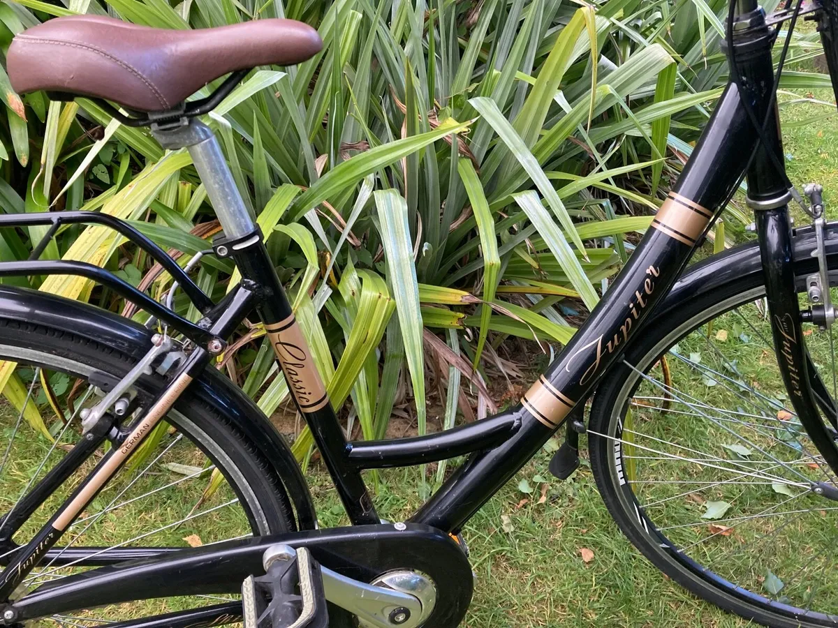 Modern Vintage Ladies Bike - Image 2