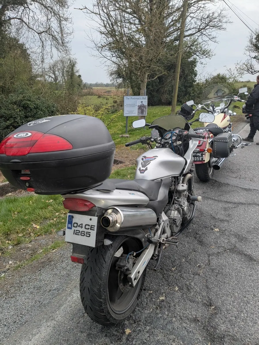 Honda Hornet - Image 4