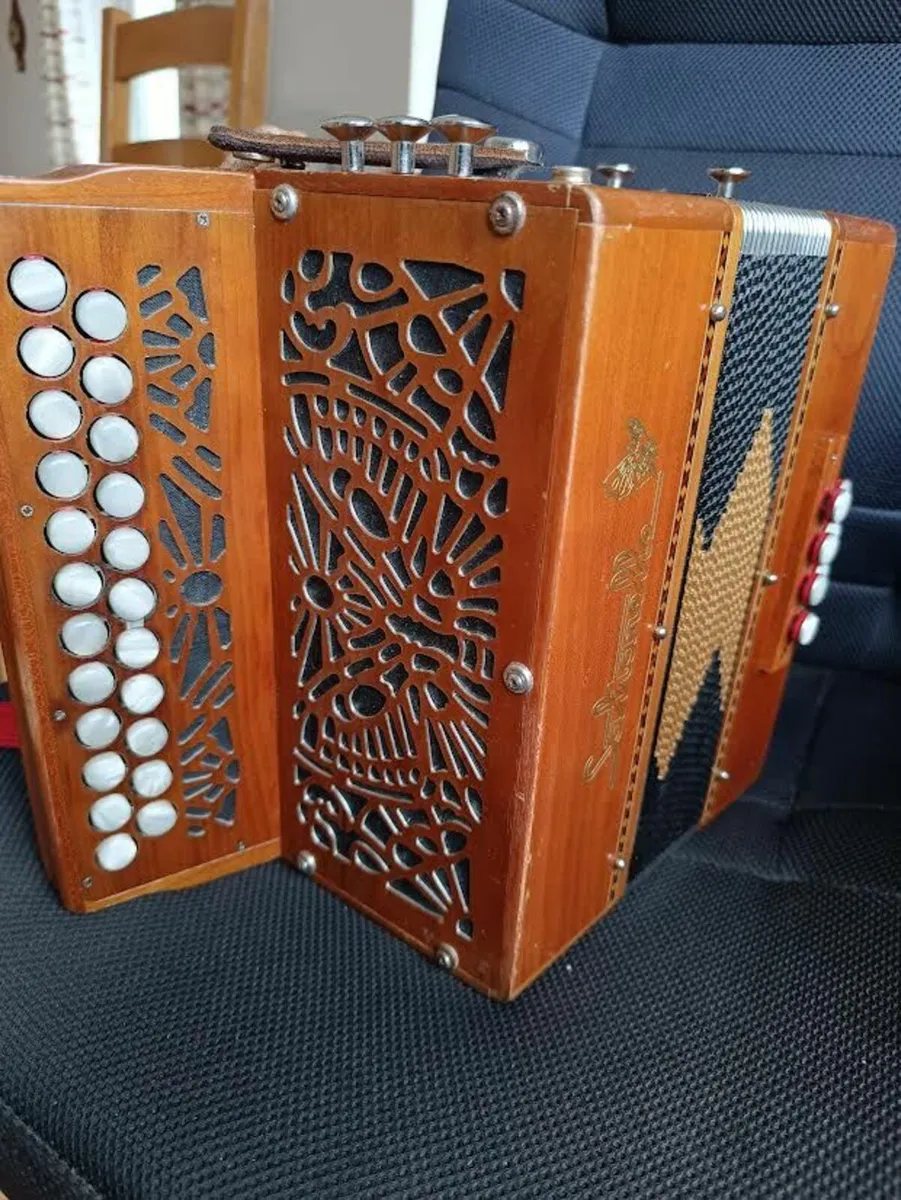 accordion - Image 1