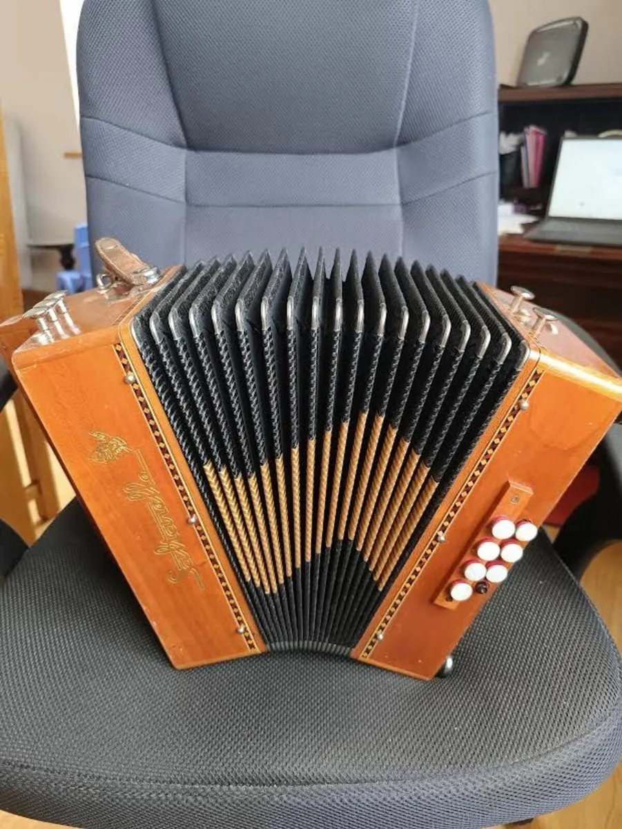 accordion - Image 3