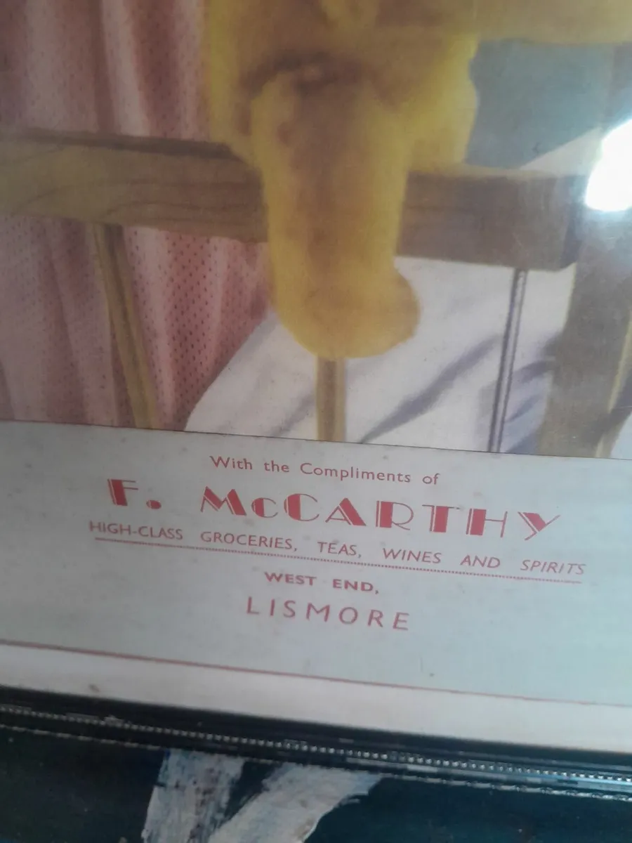 F mç carthy lismore advertising  picture - Image 2