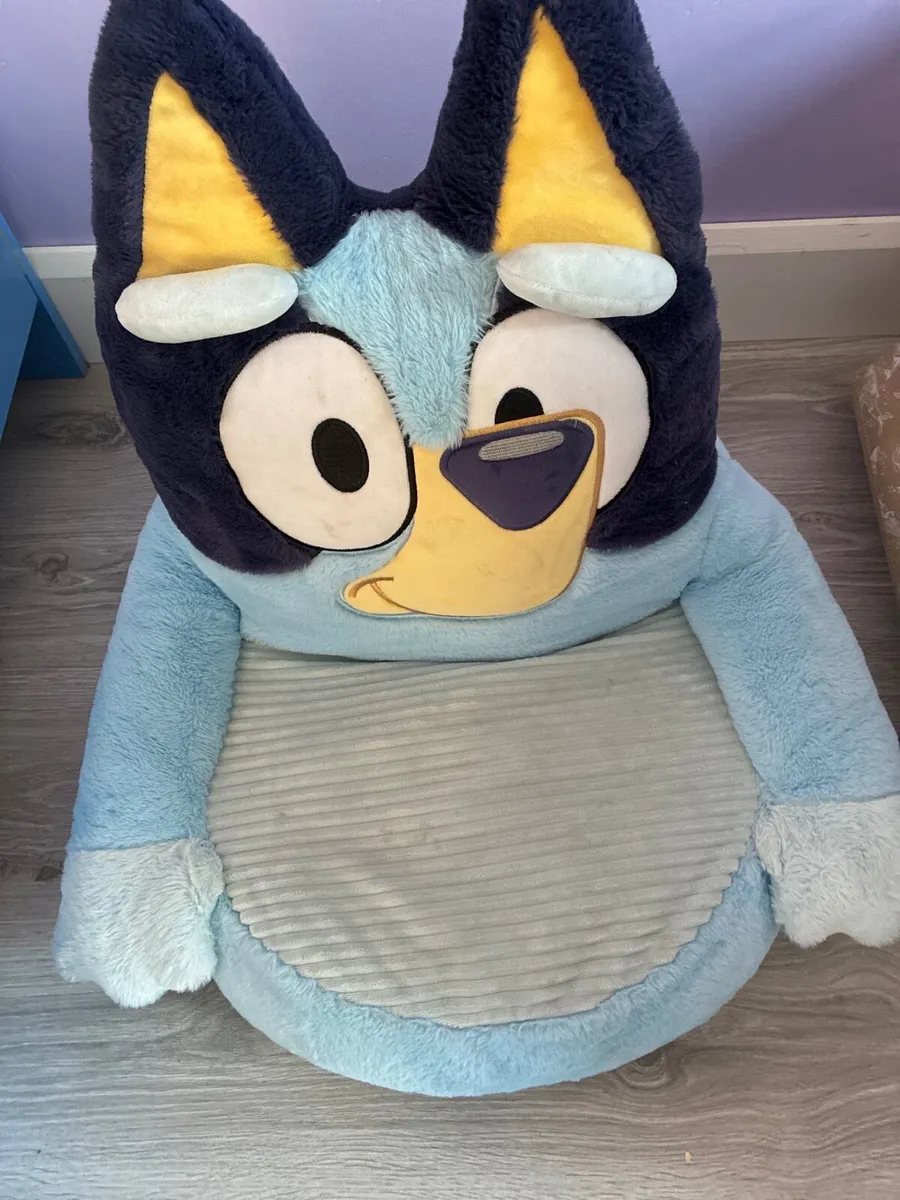 Bluey chair