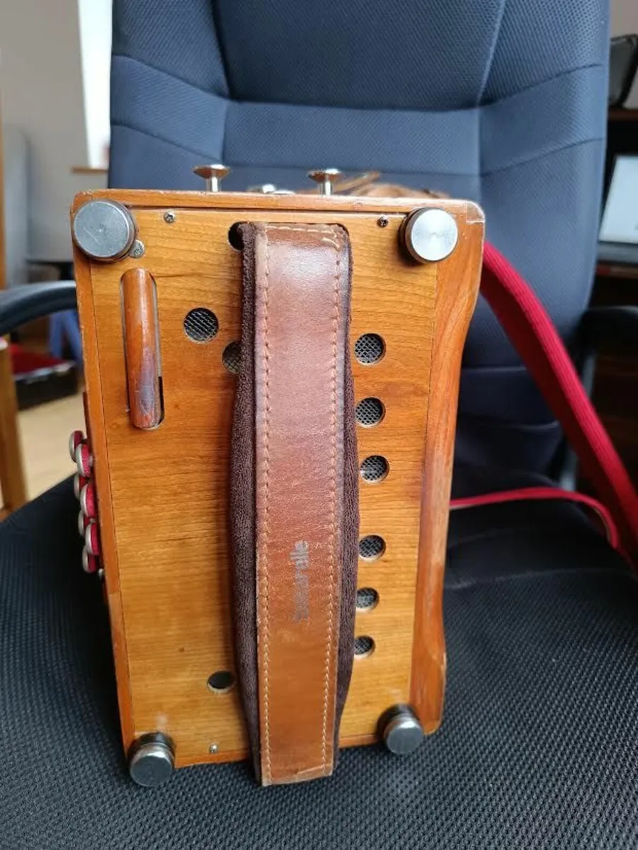 accordion - Image 4
