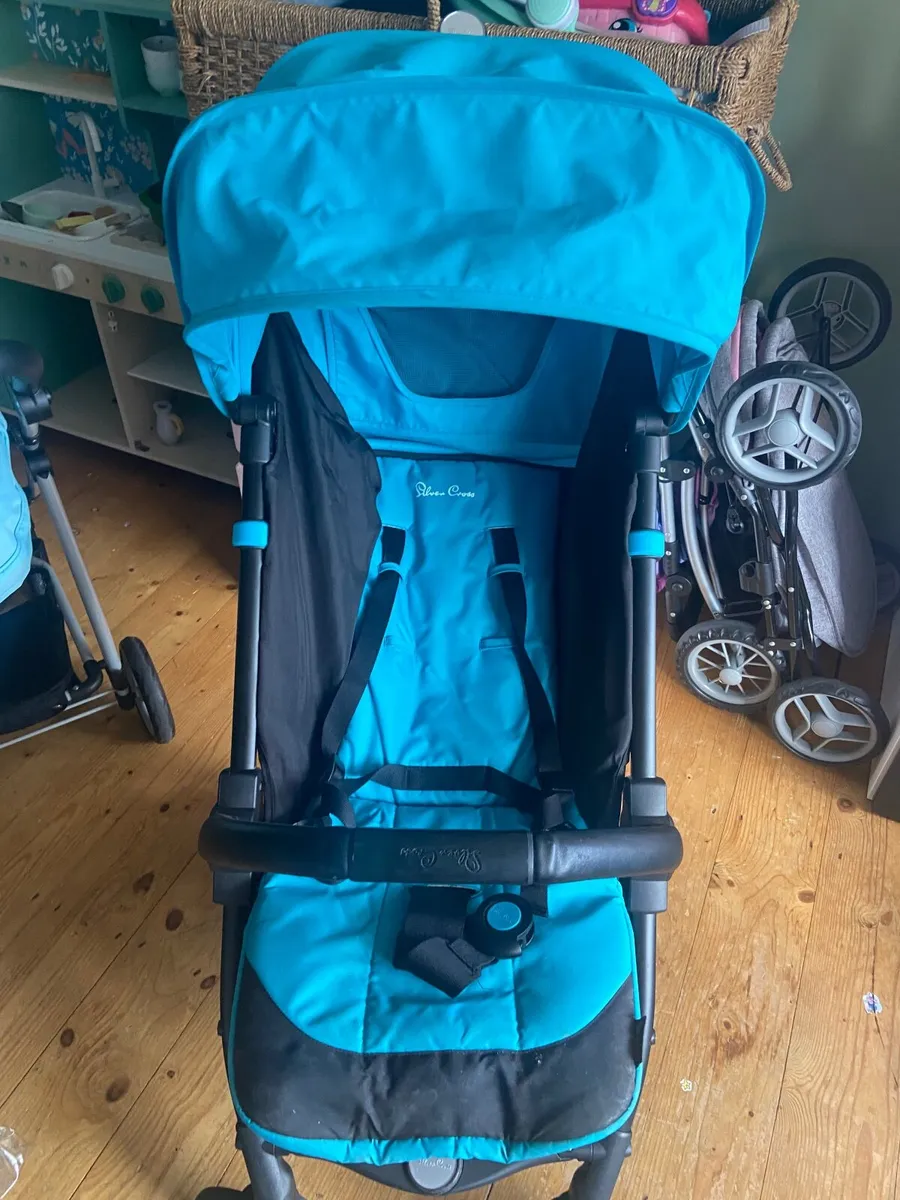 Buggy - Image 1