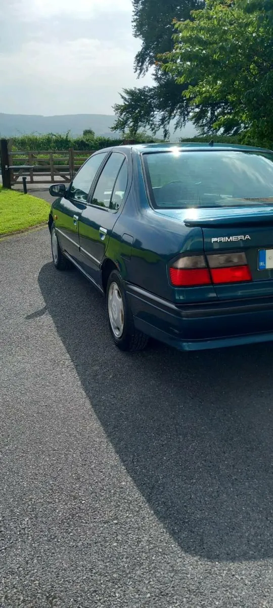 Nissan Primera - Image 2