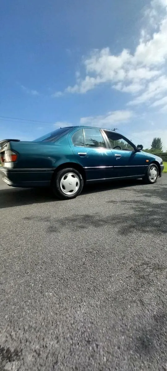Nissan Primera - Image 3
