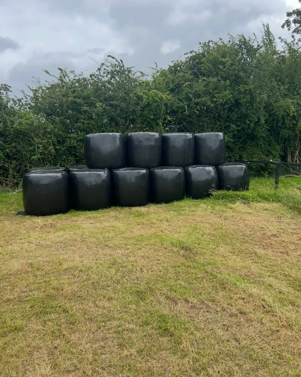 Silage bails - Image 2