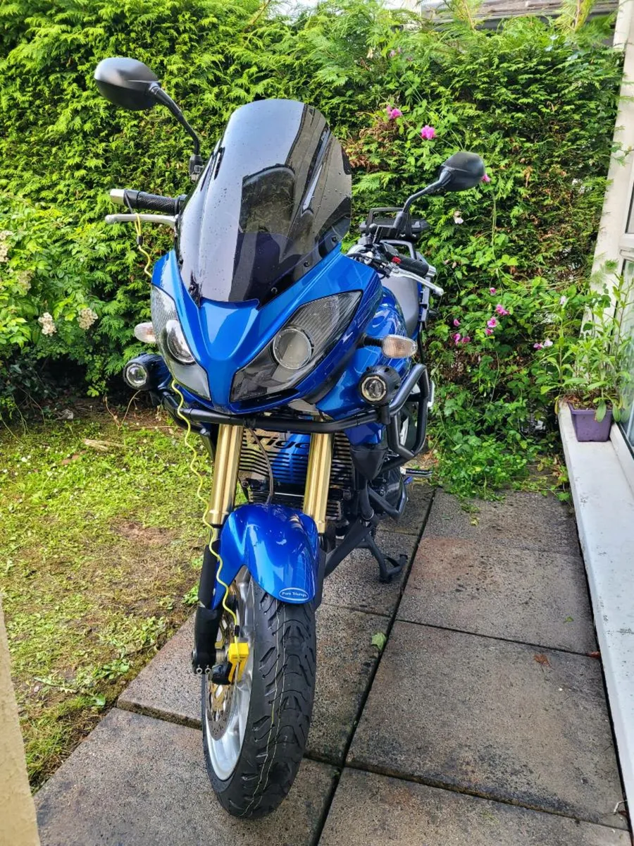 Triumph tiger 1050 - Image 2