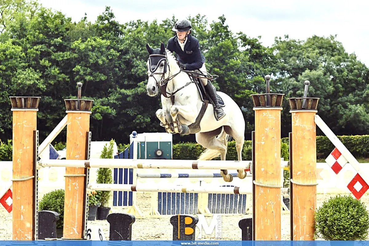 🌟 Schoolmaster COH Horse 🌟 - Image 1
