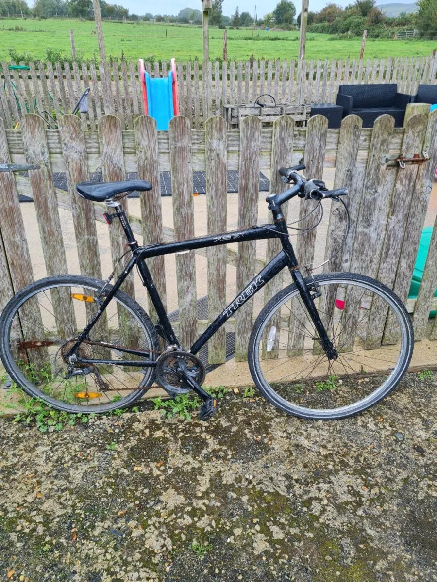 Bikes for sale - Image 1